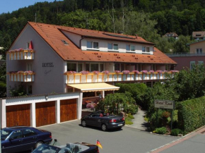 Отель Hotel Koch  Бад-Либенцелль
